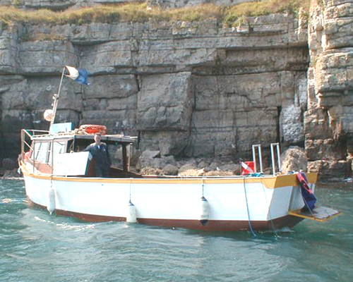 Seadart Diver close to cliff face.