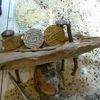 Gold and silver coins from India on display.