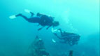Divers approach shipwreck